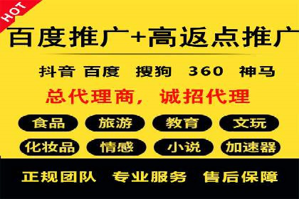 案例解析：百度推广排名提升的实战技巧